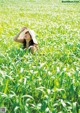 A woman in a white hat standing in a field of green grass.